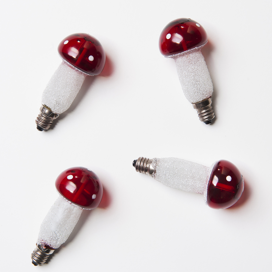 BALENÍ Muchomůrka červená FILAMENT 20V/0,2W, 36 ks