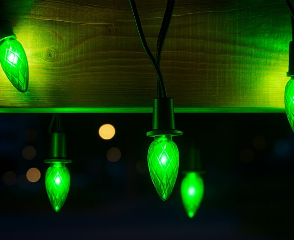 LED VENKOVNÍ souprava  Šiška zelená, možnost prodloužení, černá kabeláž + napájecí trasformátor